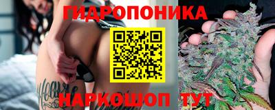 дмт Малгобек