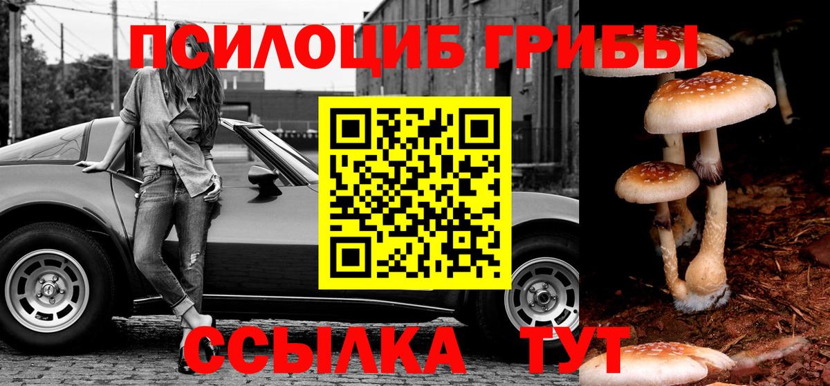 Туапсе  Псилоцибиновые грибы Psilocybe  Вход с VPN  Псилоцибиновые грибы Psilocybine cubensis 